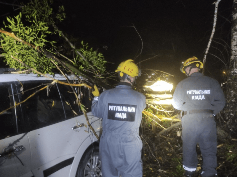 У Києві дерево впало на позашляховик