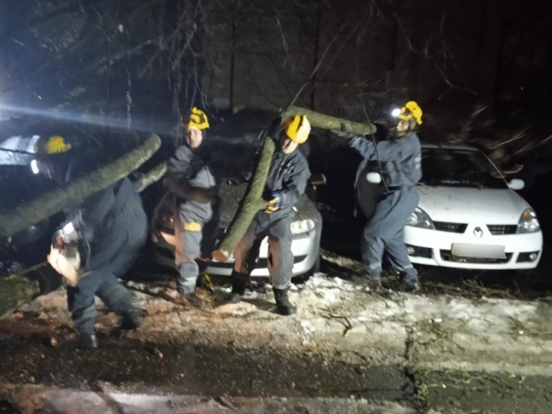У Києві вночі падали дерева: на Солом’янці потрощили припарковані автівки