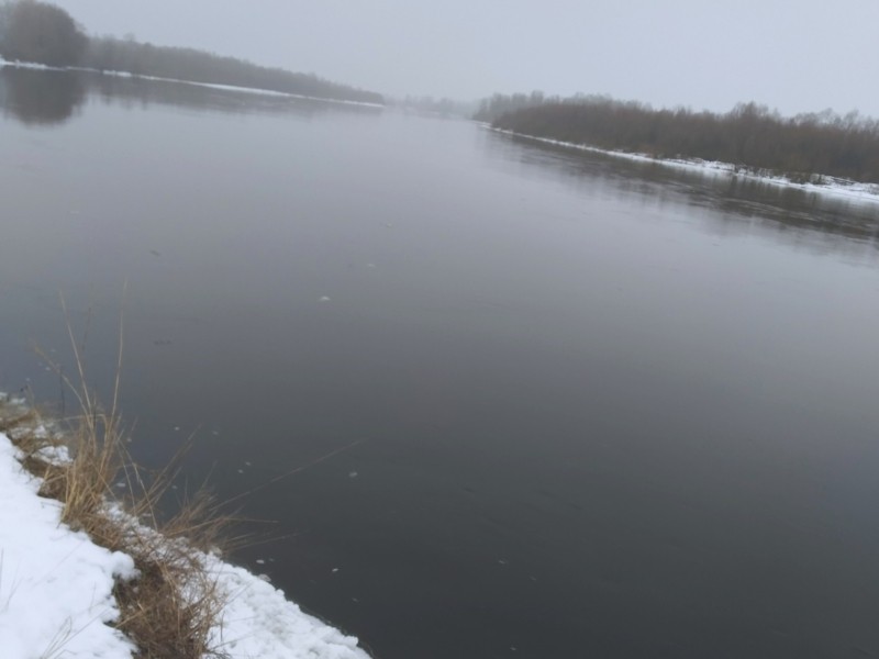 Біля річки Десна у Київській області створюють ще один заказник