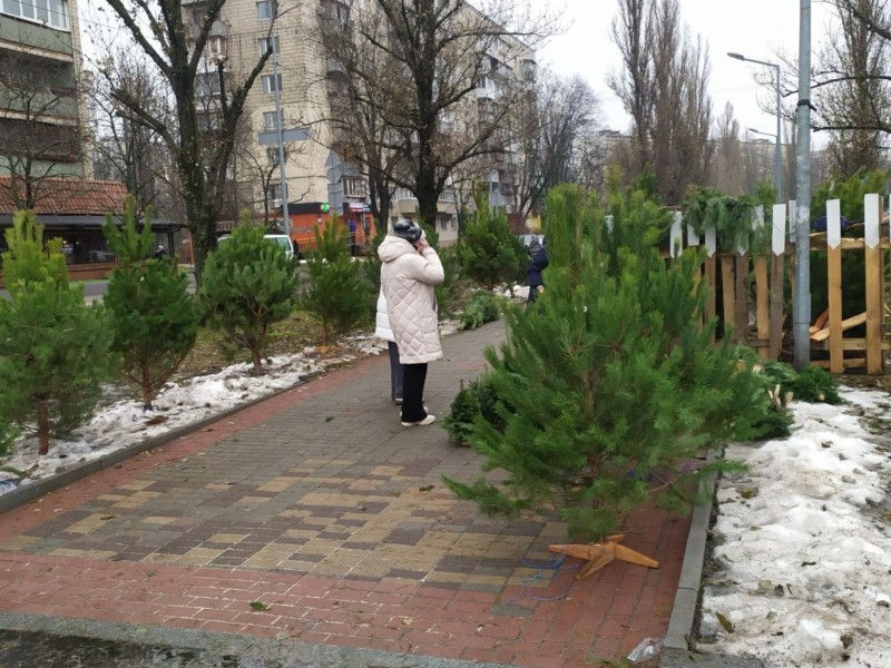 Під час рейдів у семи районах столиці виявили ялинки-“нелегали”