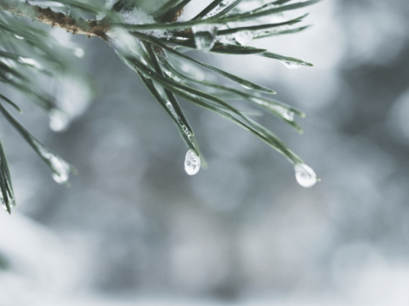 Яка погода чекає киян на початку тижня: синоптики прогнозують мокрий сніг та дощ