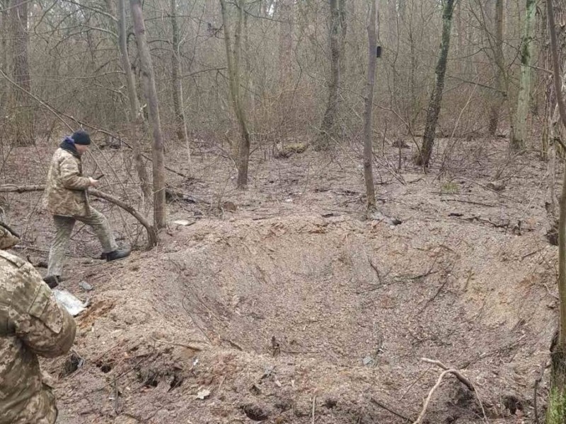 Російські ракети пошкодили десятки дерев у Святошинському лісництві