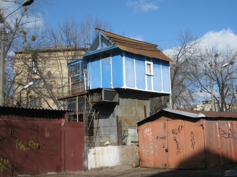 Київські голубівні: у столичних дворах ще можна побачити будиночки для птахів