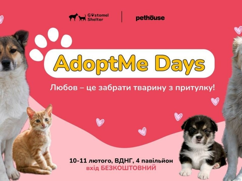 Зроби подарунок до Дня закоханих – візьми тварину з притулку: на ВДНГ пройде AdoptMe Days