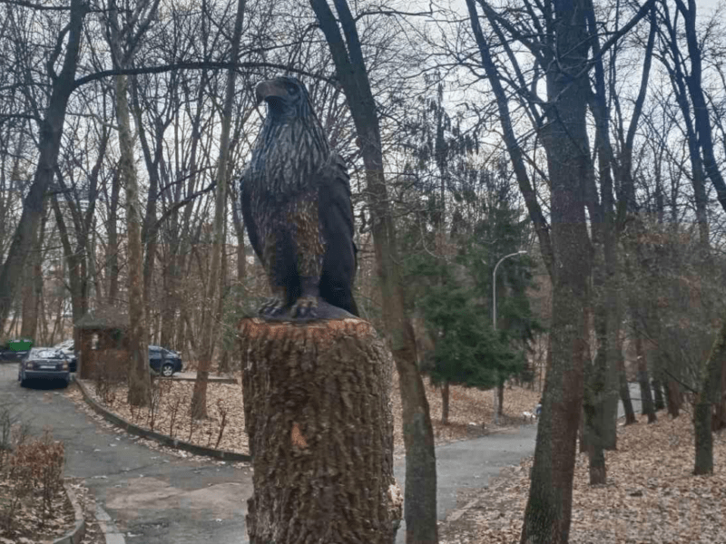 У киян цікавляться, які нові скульптури з дерева вони хочуть бачити у парку Рильського