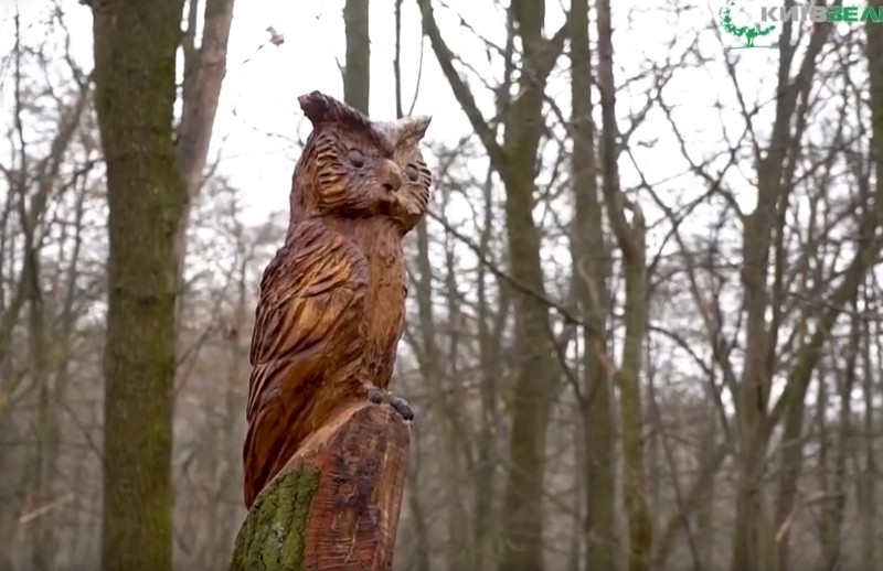 Умілі руки і фантазія творять дива: як створюють скульптури із сухостійних дерев у столичному парку