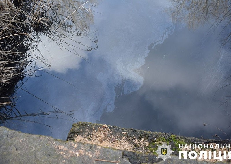 Озеро Кирилівське рятують від забруднення сорбентом
