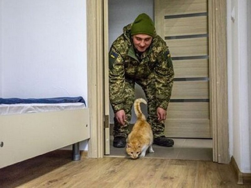 Вистачить на оренду ліжкомісця – скільки дає держава на винайм квартири в Києві для військового