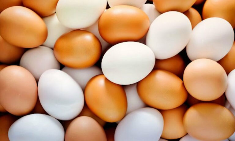 Скандал з яйцями у передмісті: у дитсадки закупили їх за 7 гривень за штуку