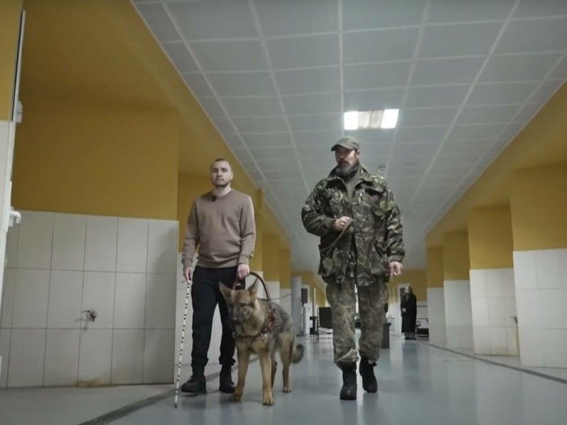 У колишній резиденції Януковича тренують собак для ЗСУ та допомоги людям