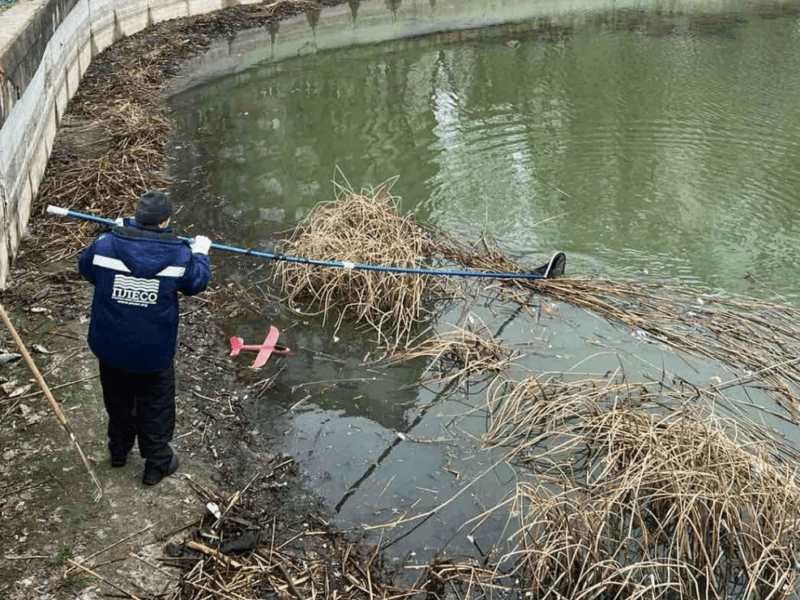 У Блакитному озері на Виноградарі загинула риба: триває перевірка