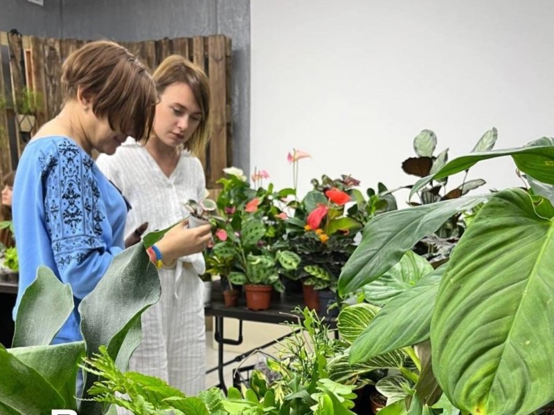 У Києві відбудеться виставка-маркет тропічних кімнатних рослин