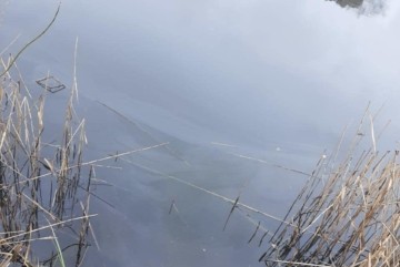 Забруднення озера Богатирське: вміст нафтопродуктів у водоймі перевищив норму у кілька разів