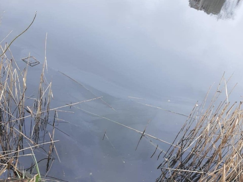 Забруднення озера Богатирське: вміст нафтопродуктів у водоймі перевищив норму у кілька разів
