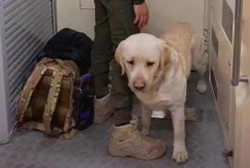 Військовий із службовим собакою кілька годин їхав у тамбурі поїзда, бо перевозив чотирилапого не за правилами
