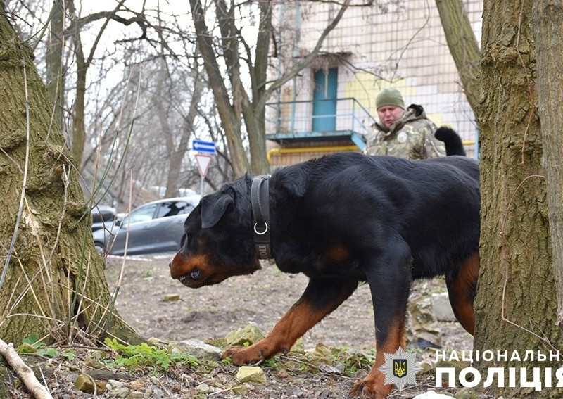 Нюх – їхня сила: два десятки службових собак столичної поліції здали “іспит” з пошуку зброї