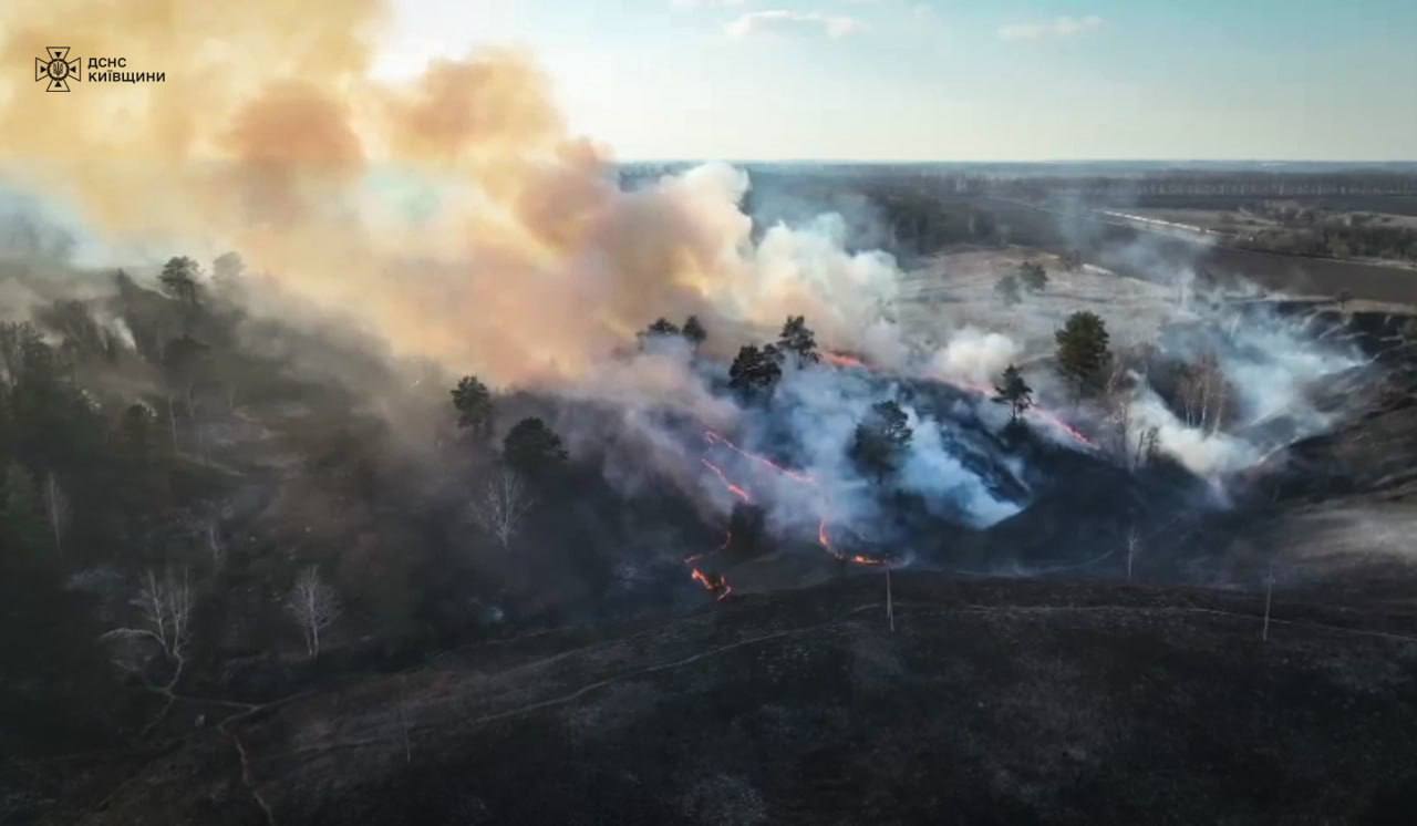 Палії ніяк не втихомиряться: в екосистемах Київщини за вихідні погасили сотні пожеж