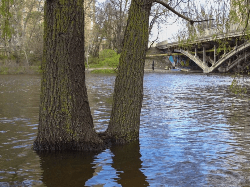 Паводок у Києві: вода у Дніпрі продовжує прибувати