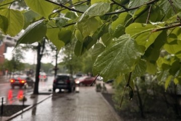 Кінець робочого тижня у Києві буде дощовим і похмурим – прогноз погоди на завтра