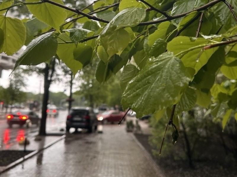 Зелена неділя прийде з дощем і грозами – прогноз погоди на завтра