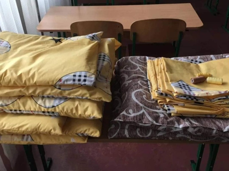 Гарні справи малими не бувають: київські школярі шиють лежаки для тварин з притулку