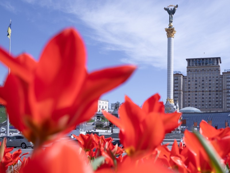 Ловіть момент для незабутніх селфі: у столиці розквітли перші тюльпани