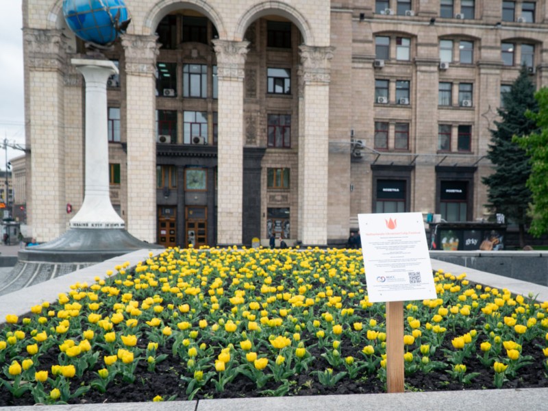 У столиці квітне понад сто тисяч тюльпанів, подарованих Королівством Нідерланди
