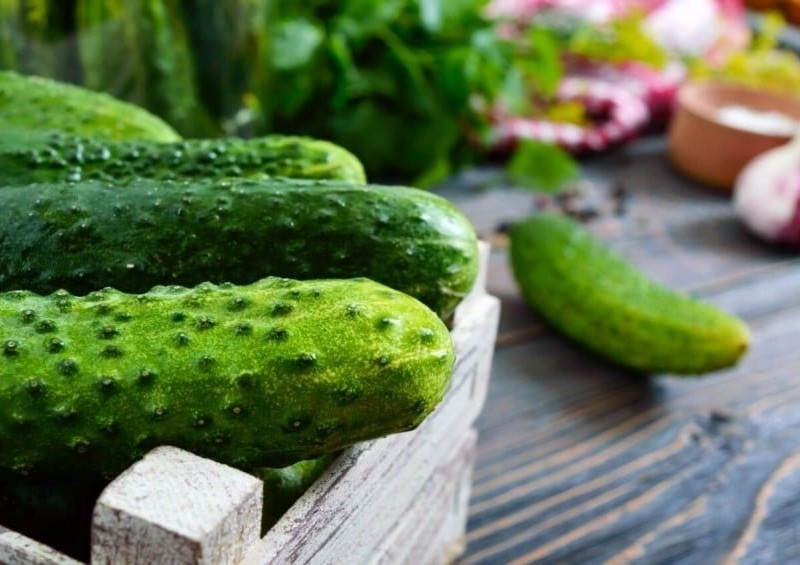 В Україні обвалилися ціни на один з найпопулярніших тепличних овочів