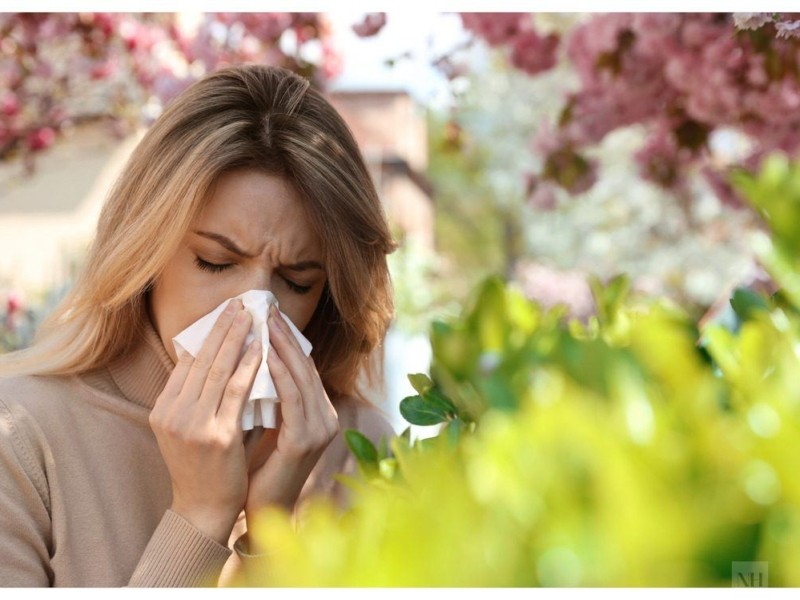 Топ 3 міфи про алергію