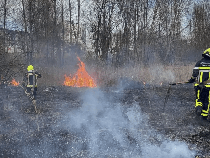 Знову палії: біля озера Вирлиця сталася масштабна пожежа