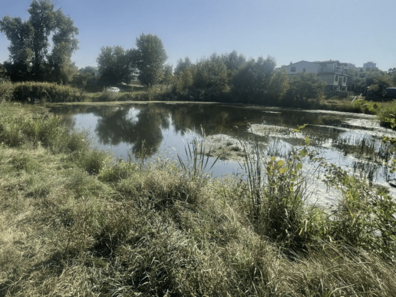 У Києві посадовці нажилися на розчищенні озера Гнилуша