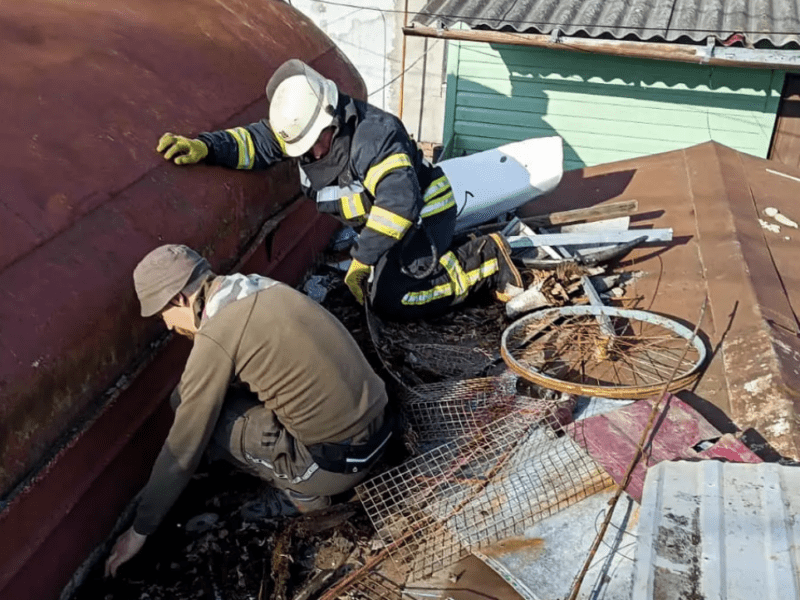 На Київщині песик застряг між гаражами та не міг вибратися: рятувальники прийшли на допомогу
