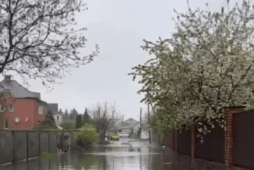 Дощ наробив лиха: вода затопила будинки у Софіївській Борщагівці