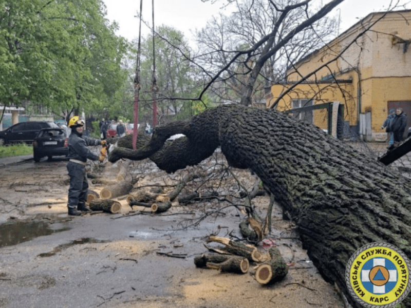 Негода у столиці: на вихідних пошкоджено або повалено більше сотні дерев