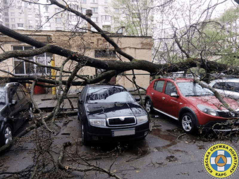 Дерево впало на шість автівок у столиці: якої ще біди наробила негода