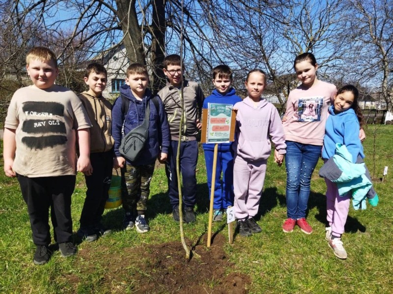 На Київщині школярі висадили “Дерева Героїв”