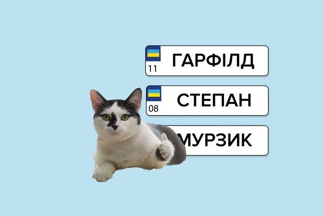 У сервісних центрах МВС відновили послугу для любителів виділятись