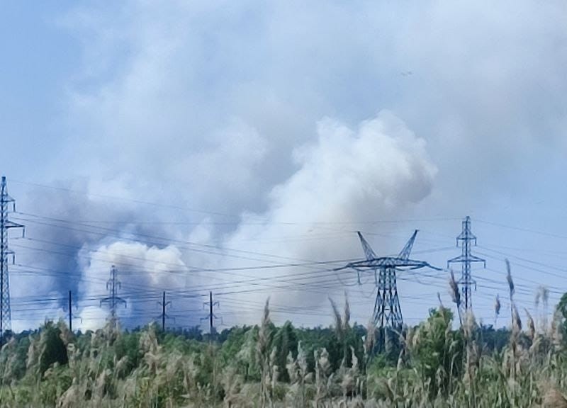 У Вишгородському районі локалізували пожежу в лісі – що відомо