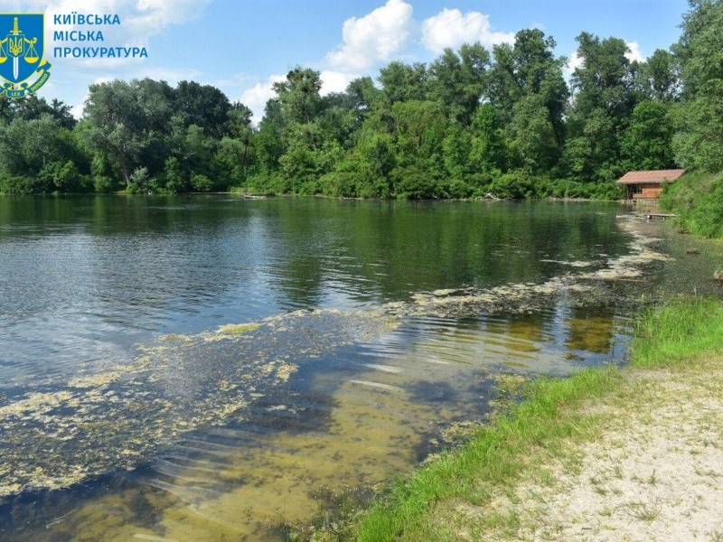 На Венеціанському острові у Гідропарку чоловік незаконно захопив ділянку та побудував там будиночок