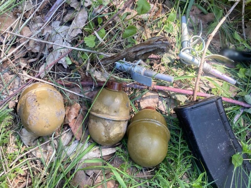 У лісовій зоні Києва знайшли пакет з  боєприпасами