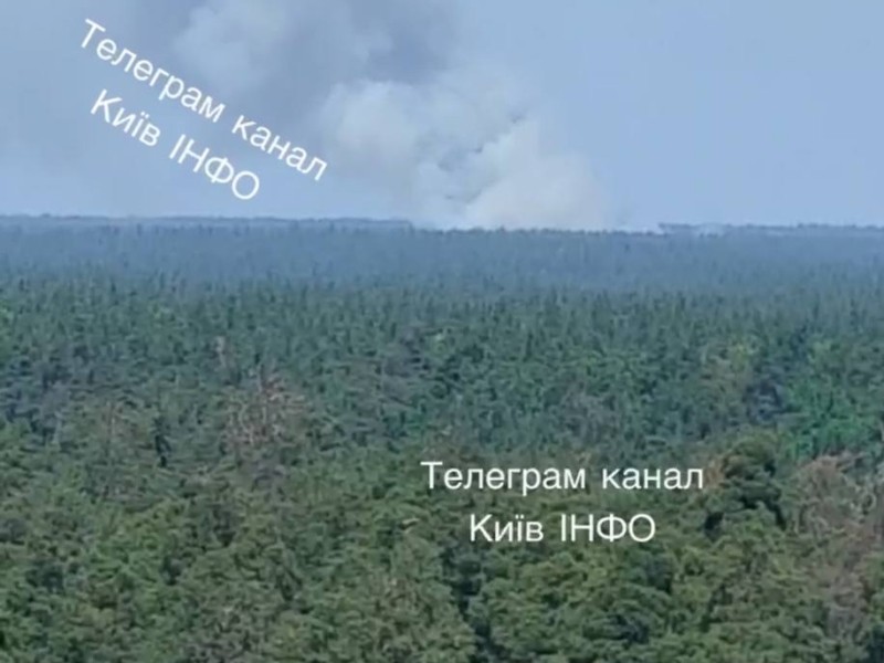На Київщині загорівся ліс над Вишгородом