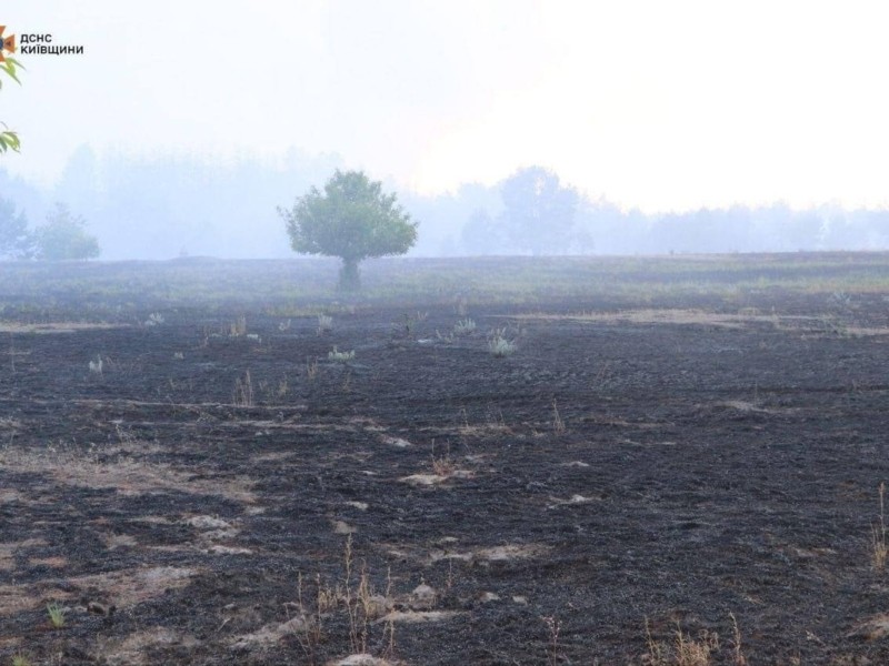 Вогнеборці Київщини показали наслідки масштабної пожежі під Вишгородом