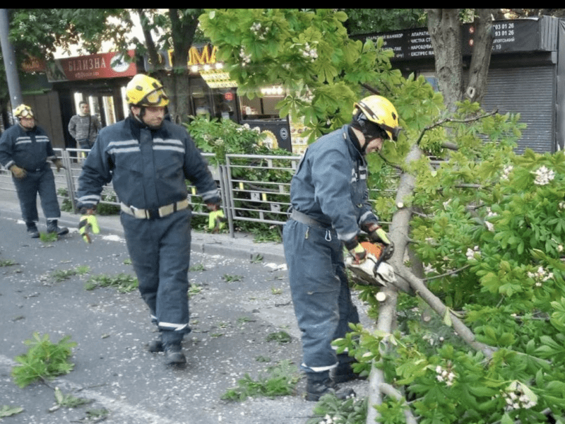 На Солом’янці та в Голосієві на дорогу впали дерева