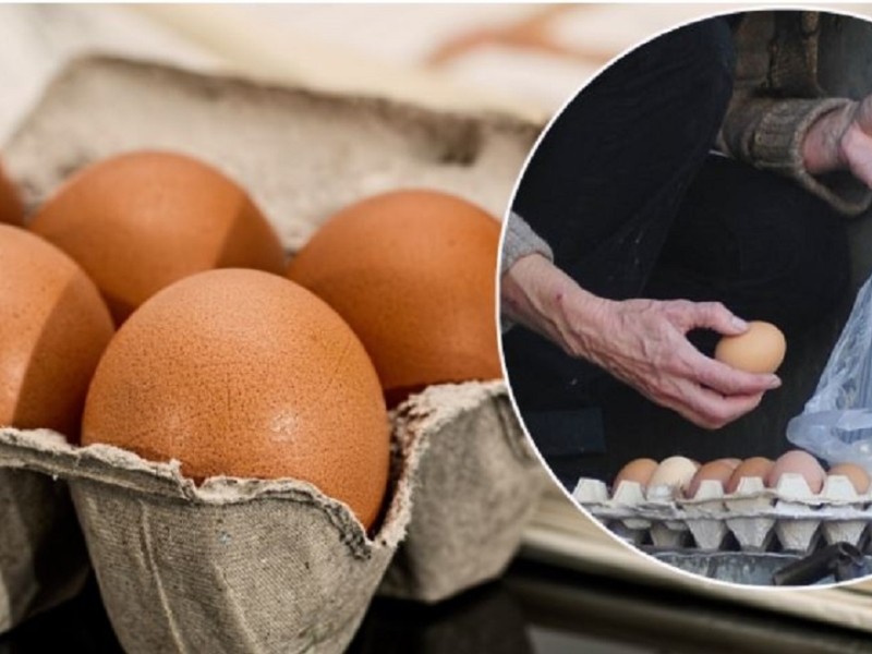 “2-3 тижні” минуло: після двох років дорожнечі ціни на яйця знову повернулись до 16-20 грн – де шукати