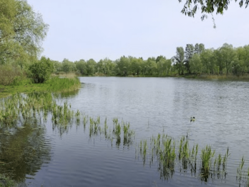 В озері на Троєщині втопився чоловік