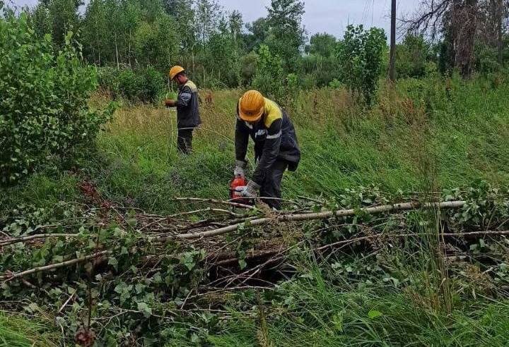 Негода пошкодила електромережі на Київщині: енергетики досі ліквідовують наслідки