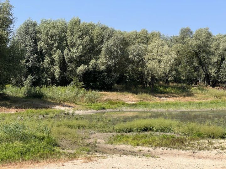 У висохле озеро Синє будуть скидати артезіанську воду