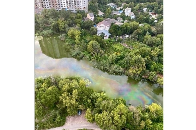 Вода в озері Жандарка токсична, але не критично: що з’ясували у “Плесі” про стан водойми