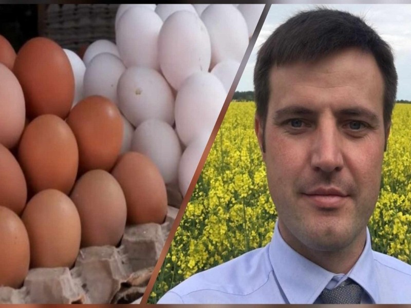 Яйця в оптовиків вже по 12-15 грн – в.о. міністра АПК Висоцький через півтора роки виконує обіцянку знизити ціни