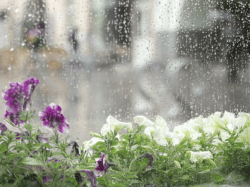 Короткочасні дощі очікуються у Києві: беріть парасольку